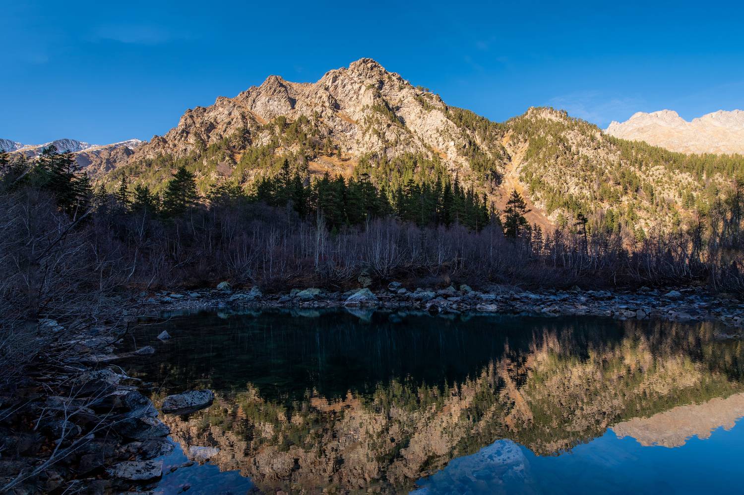 Автор: Дмитрий Величко , Дмитрий Величко