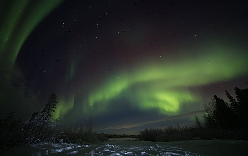 северное сияние, полярное сияние, мороз, ночь, сосны, север, небо, звезды, зима, снег, природа «Пламя в ночи»photo preview