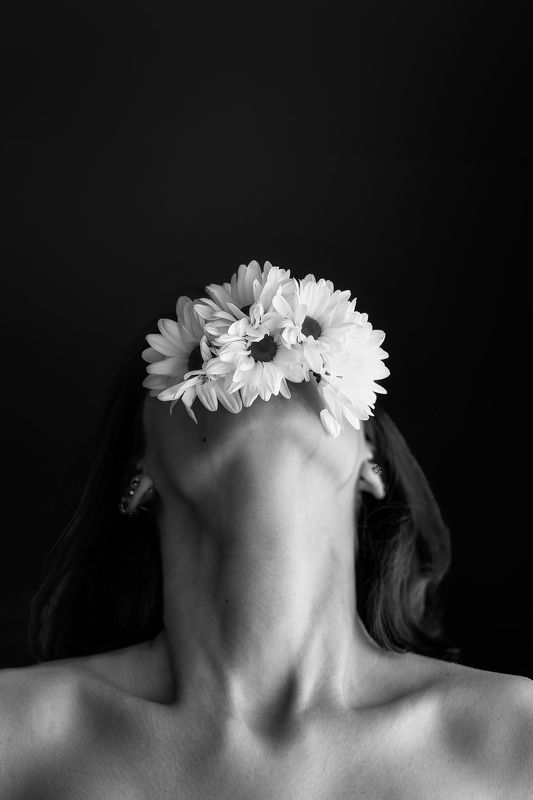 Like a poem photo preview