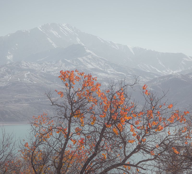 узбекистан, чарвакское водохранилище, чимган photo preview