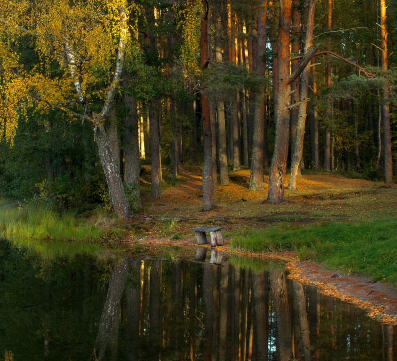 закат, лес, шишикин лес, озеро, жеребенец, Закат в Шишкином лесу фото превью