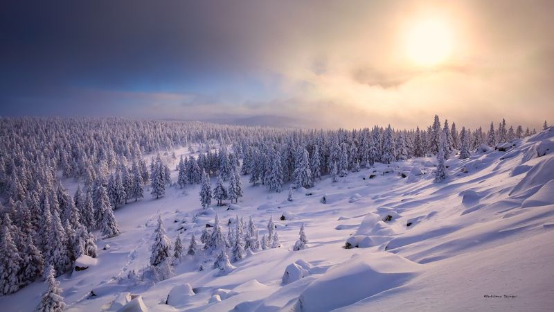 Природа Южного Уралаphoto preview