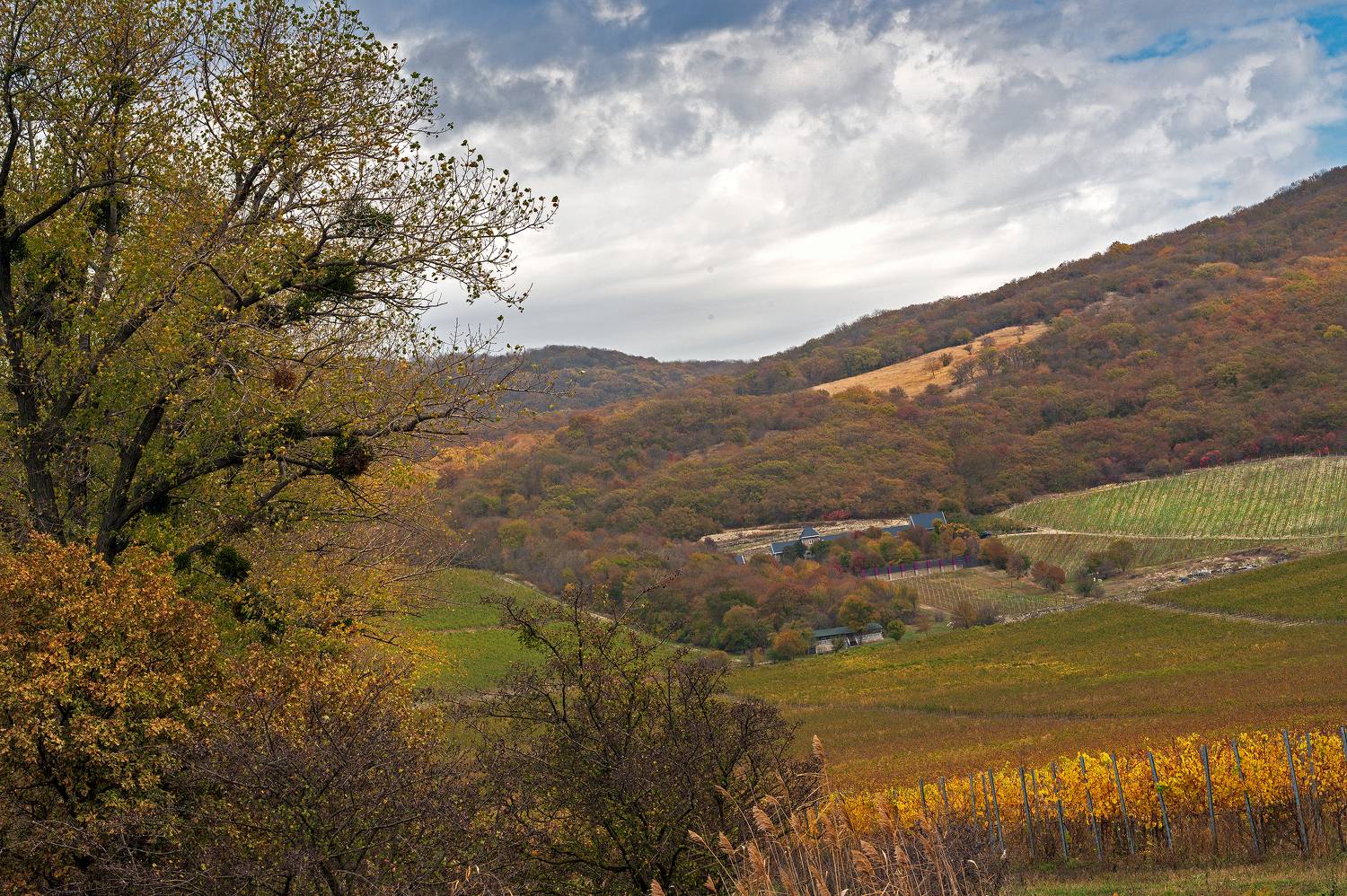 , Алексей Рыльский