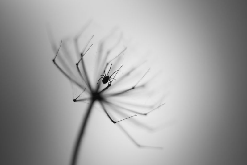 Брррррр.....жутковатоphoto preview