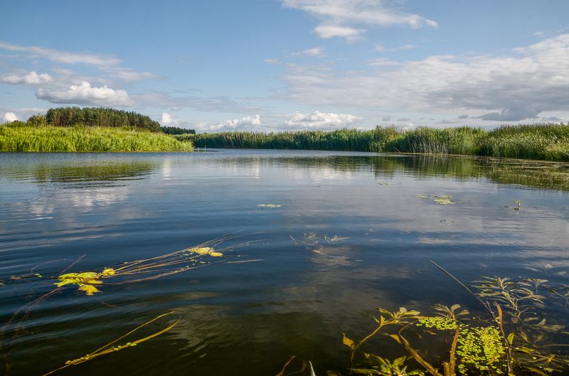 река утро пейзаж облака Аука Судостьphoto preview