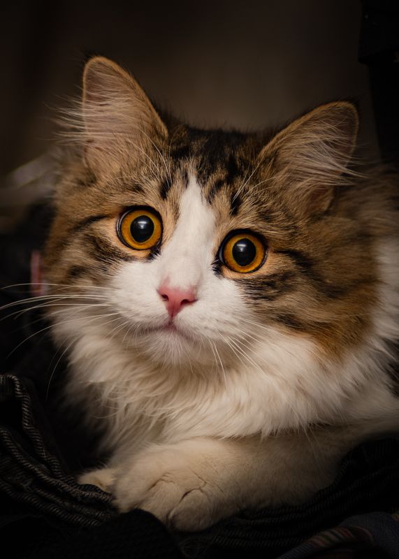 Да ну.. Не..photo preview