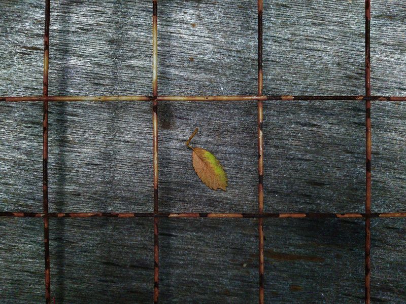 осень, листья Осенний пленphoto preview