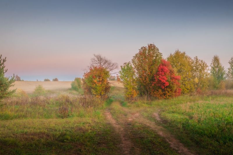 Краски осениphoto preview