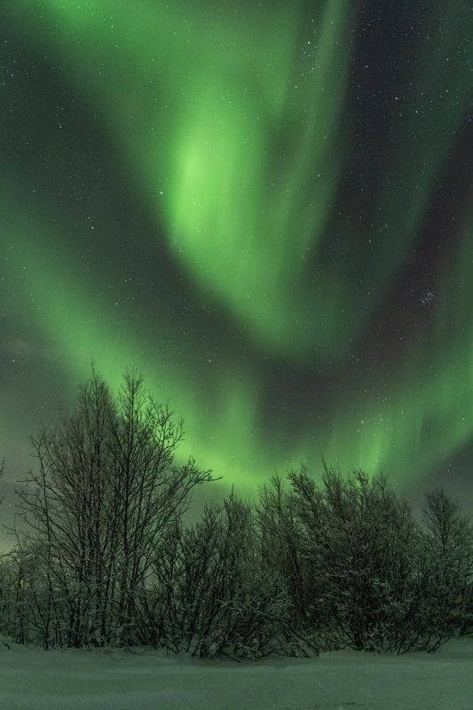 Костер photo preview