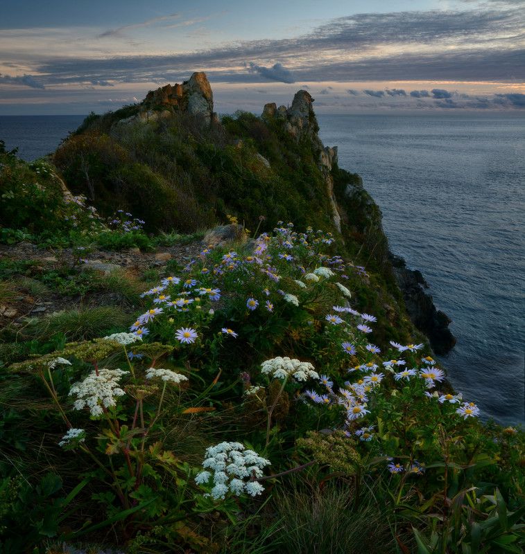 приморский край Мыс Пассека.photo preview