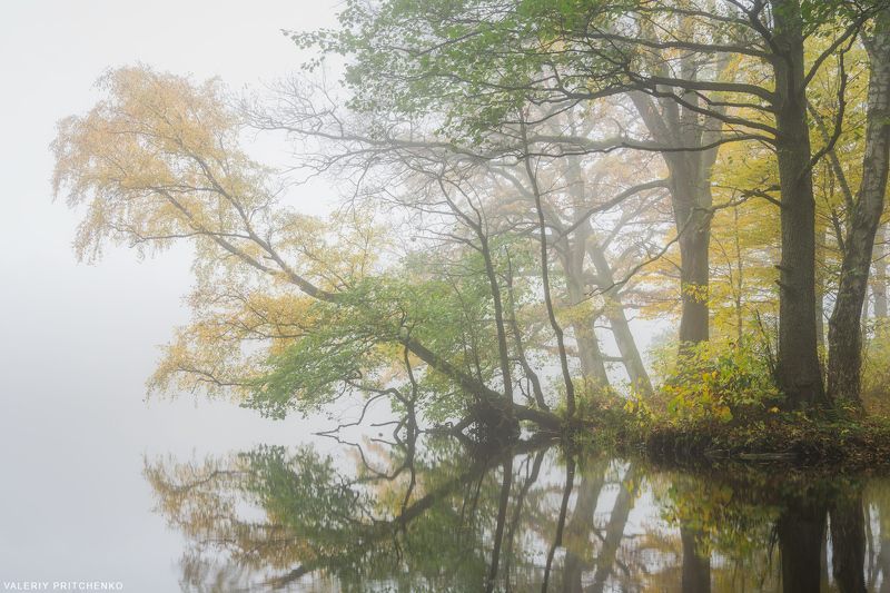 осень, утро, туман, природа, пейзаж, landscape, autumn, nature, fog, mist, morning *photo preview