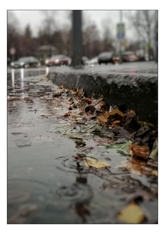 Ноябрь... photo preview