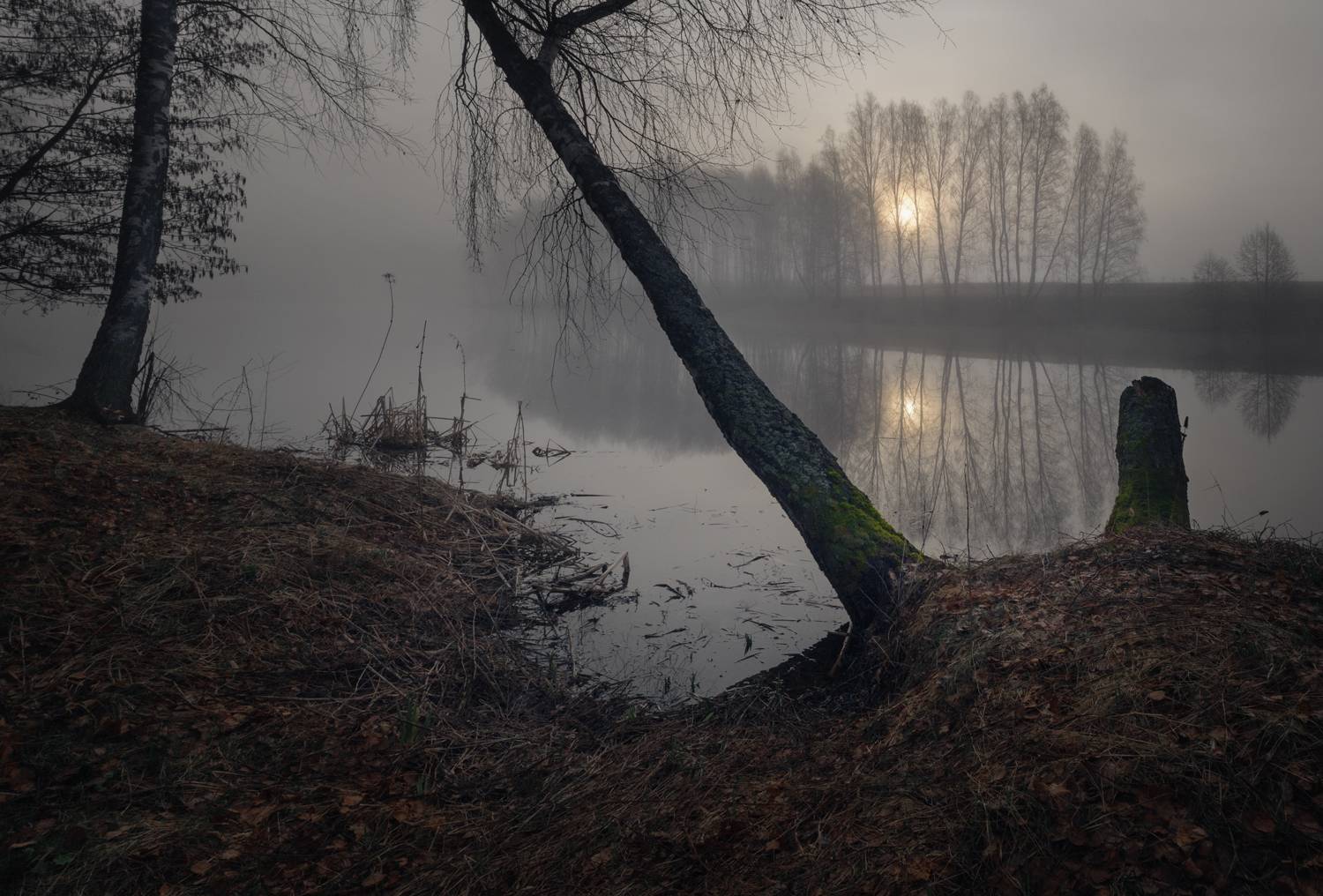 река, свет, утро, природа, тульская обл., Баранов Олег