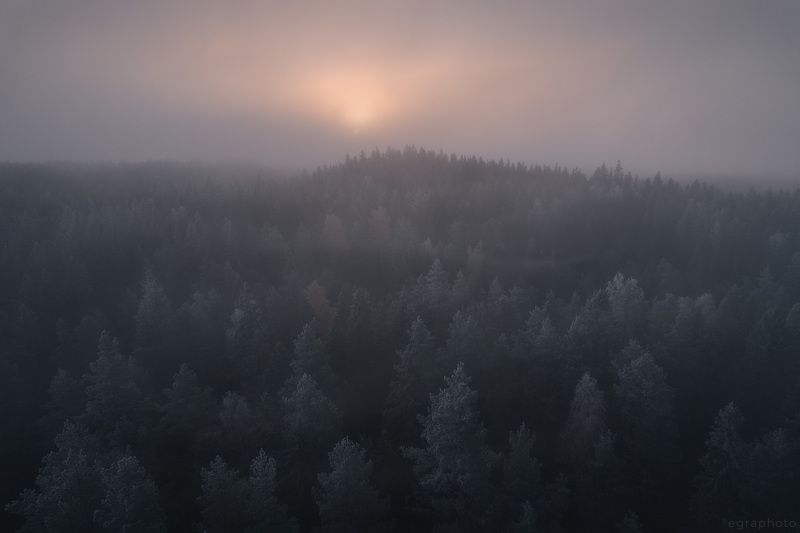 ленинградская область, выборгский район, карельский перешеек, россия Лес Хийсиphoto preview
