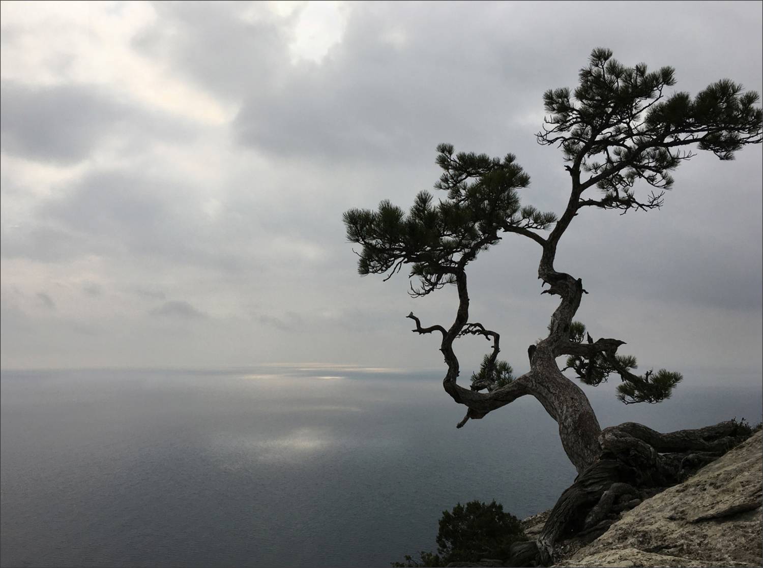 Alone. Автор: Вера , Вера