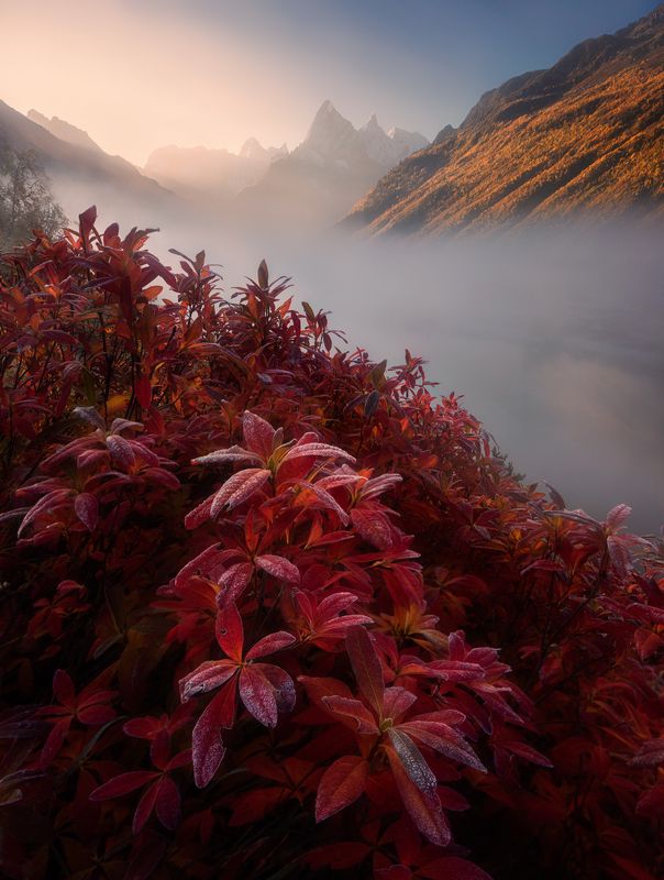 домбай, туманлы-кёль Туманлы-Кёльphoto preview