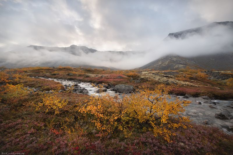 хибины, кольский полуостров, хибинские тундры, арктика, малая белая, мурманская область, осень в тундре \