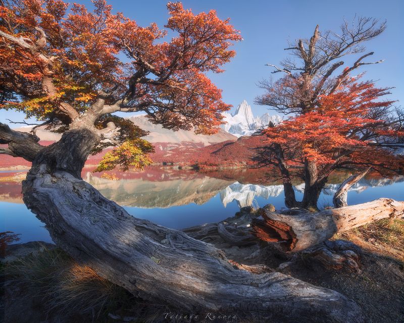 Фиц Рой сквозь осеннюю листвуphoto preview