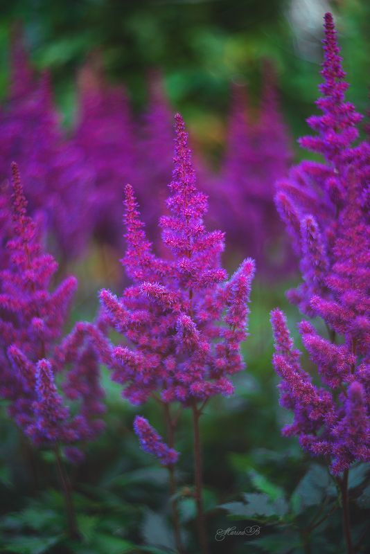 Если человек видит всё в ярком свете, значит свет его души ему это позволяетphoto preview