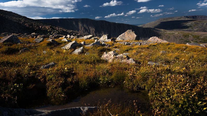 Тундра Высокогорье Камни Горы Сопки Голец Высокогорная тундраphoto preview