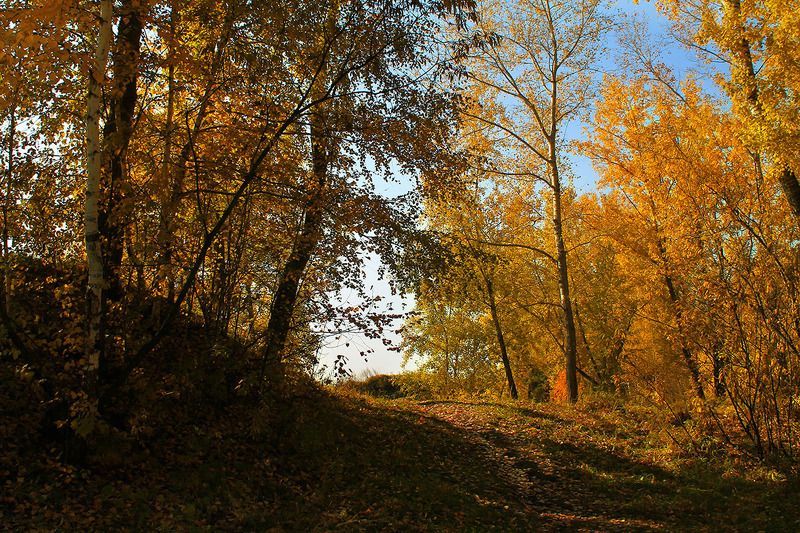 осень, сибирь, россия ..photo preview