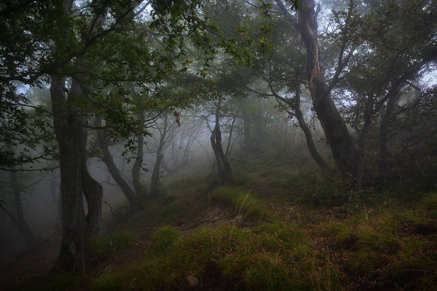 , Юлия Абрамова