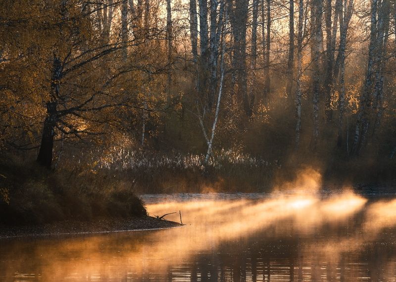 Оранжевое настроение…. Orange mood…photo preview