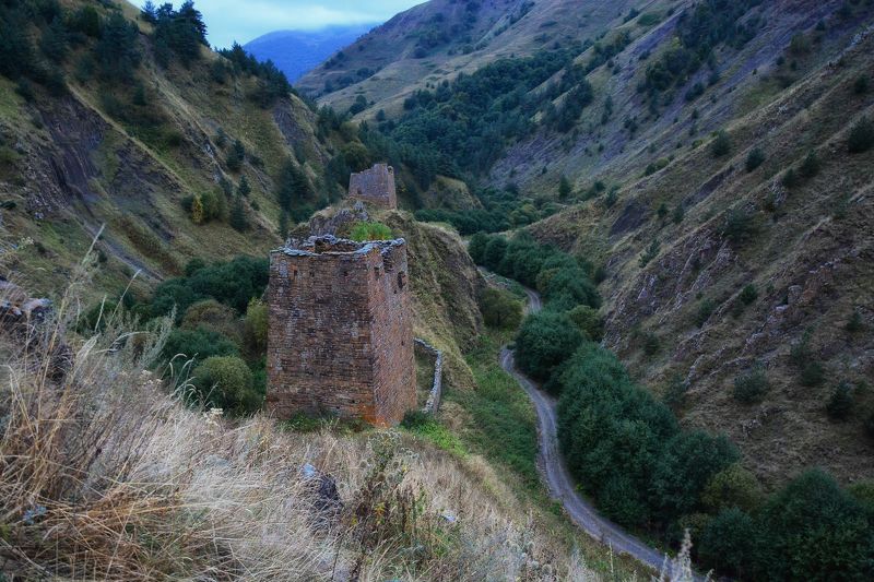 Молчаливые стеныphoto preview