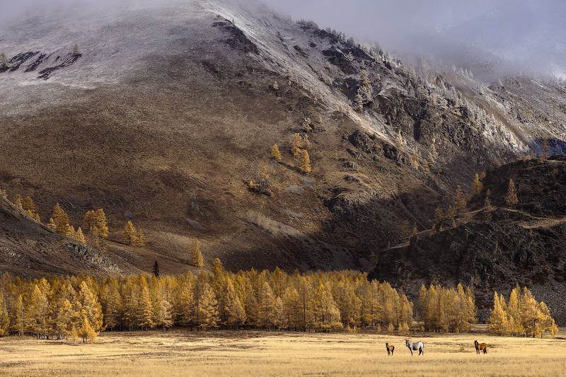 Где-то на Алтаеphoto preview