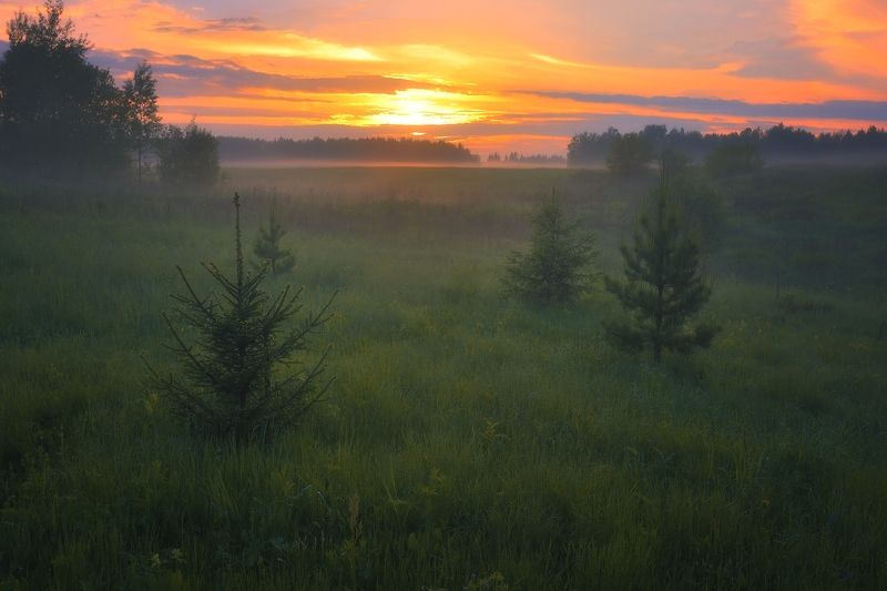 Легкая грусть по лету...photo preview