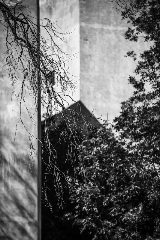 Питерphoto preview