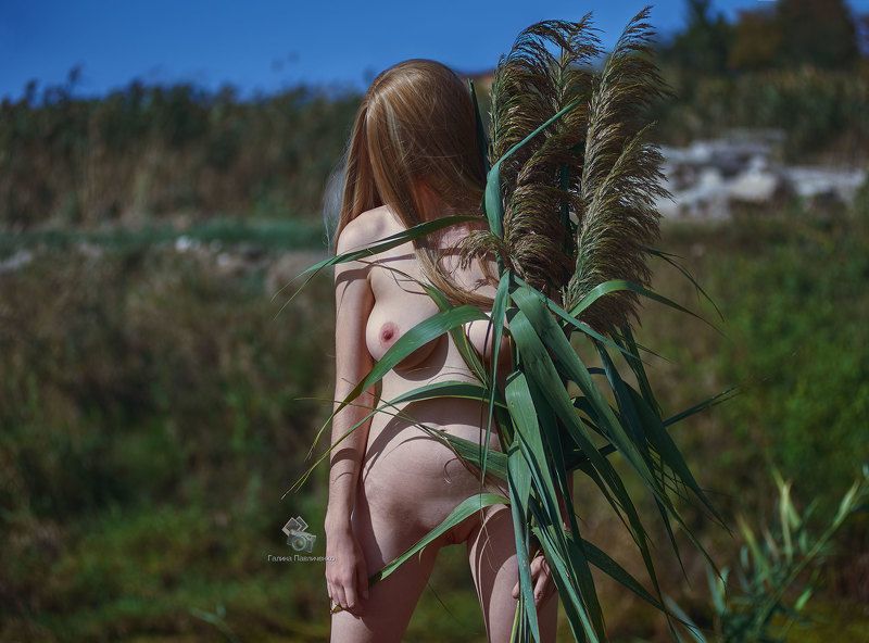 art nu,  photo, photography, eroticism, sexual, artistic erotica, girl, naked body, nude, nu, топлес, фотохудожники, художественная фотография, ретушь, эротика, ню, обнажённое тело, сексуальность, фотосессии в краснодаре https://boosty.to/galinapphoto preview