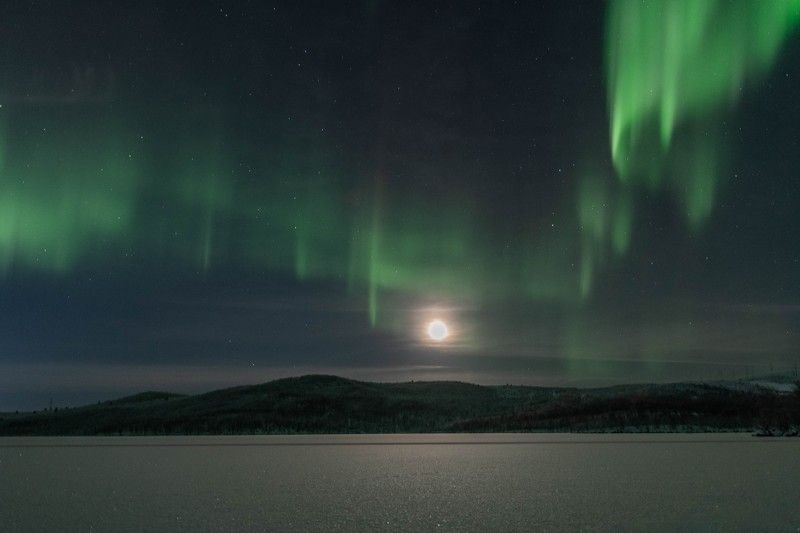 Северный тандемphoto preview