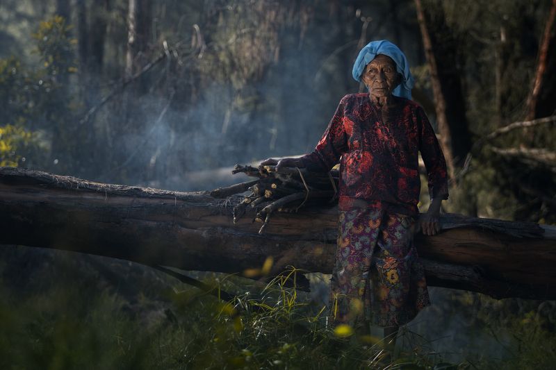 portrait, human interest, golden light, ray of light, old women Resilience in Hardship: Elderly Woman Carrying Firewoodphoto preview