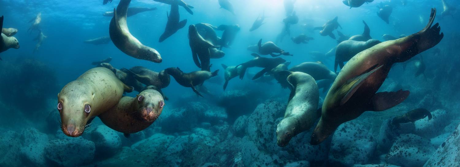 , Нарчук Андрей