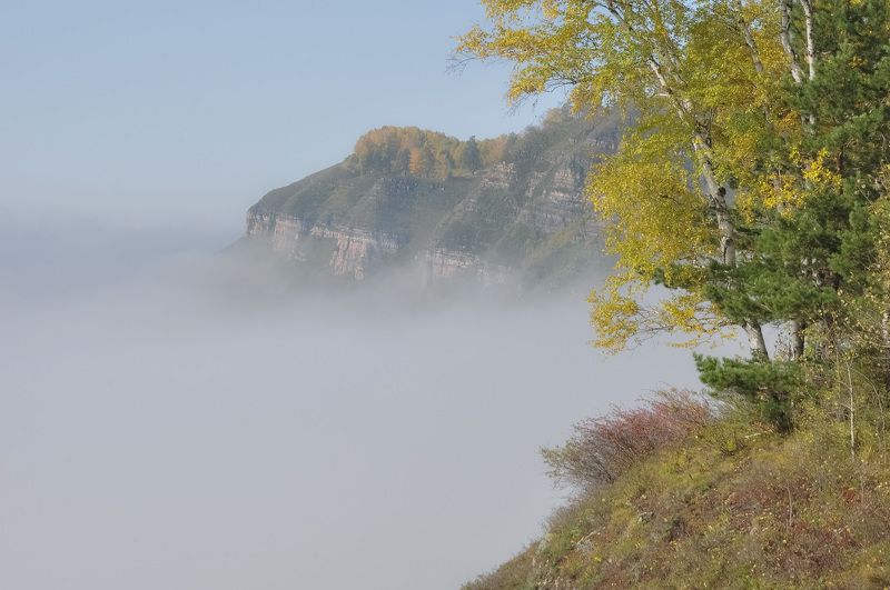 россия, кузбасс, осень, утро, туман, деревья, катунские утёсы На утёсе в туманеphoto preview