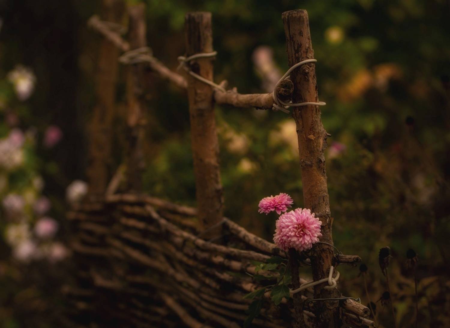 Уголок осени... Автор: Хромеев Александр , Хромеев Александр