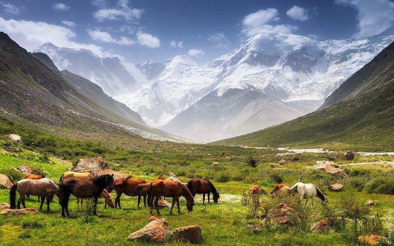 казахстан, горы Высотаphoto preview