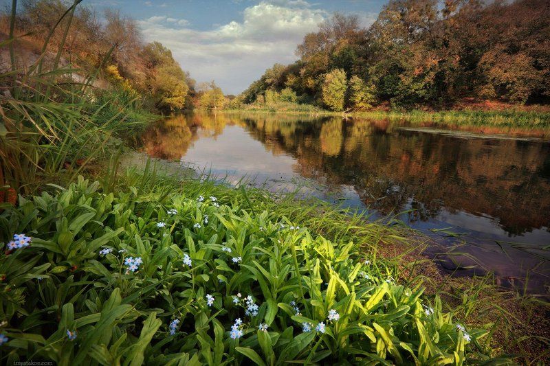 У рекиphoto preview