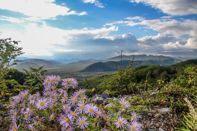 Ирина Шубина, Russia
