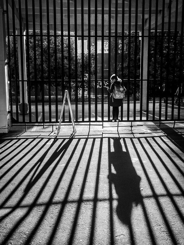 Осеннее солнцеphoto preview