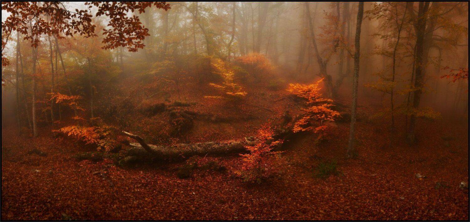 , Владимир Метцгер