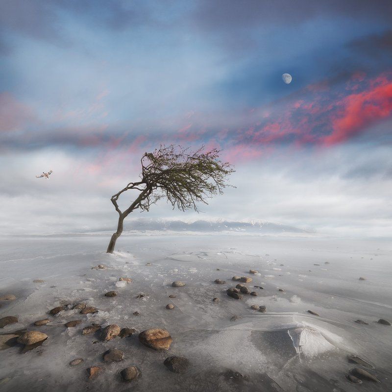 Conceptual, Landscape, Moon, Story Bright Side Of The Moonphoto preview