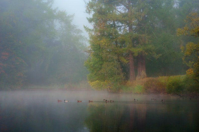 ленинградская, область Флотилия в туманеphoto preview