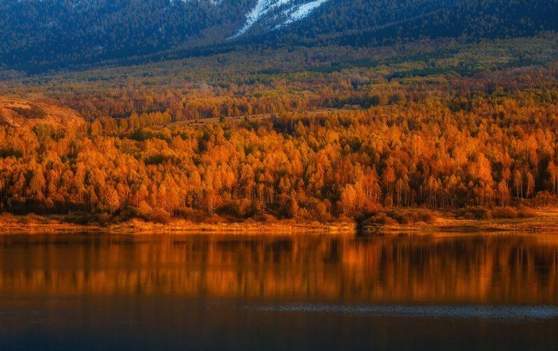 Осенние далиphoto preview