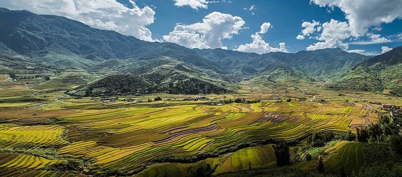 Tu le, Vietnamphoto preview