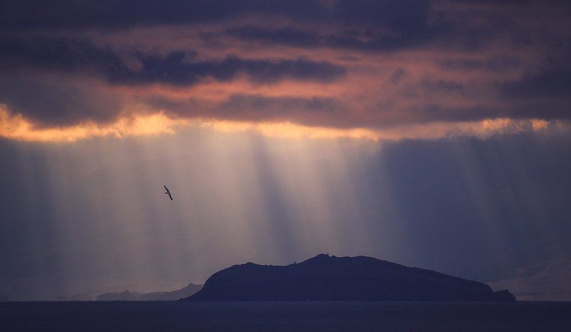 Замогойphoto preview