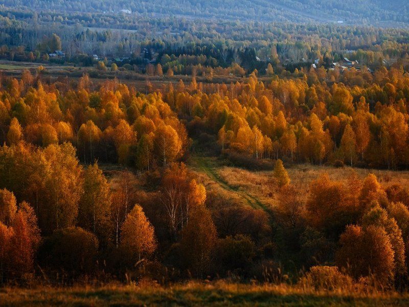 Дорога в осеньphoto preview