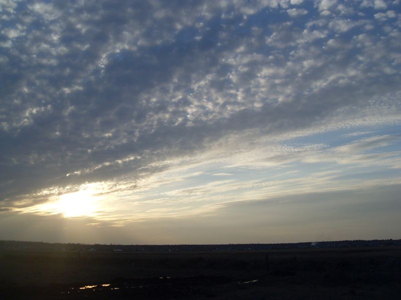 Елена, Russia