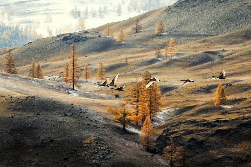 Andrey Ershov, Russia [TOP100 2015]